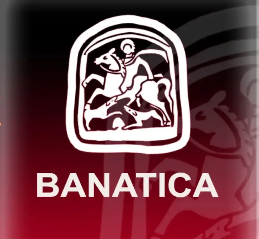 Banatica, publicație științifică editată de instituția noastră-1